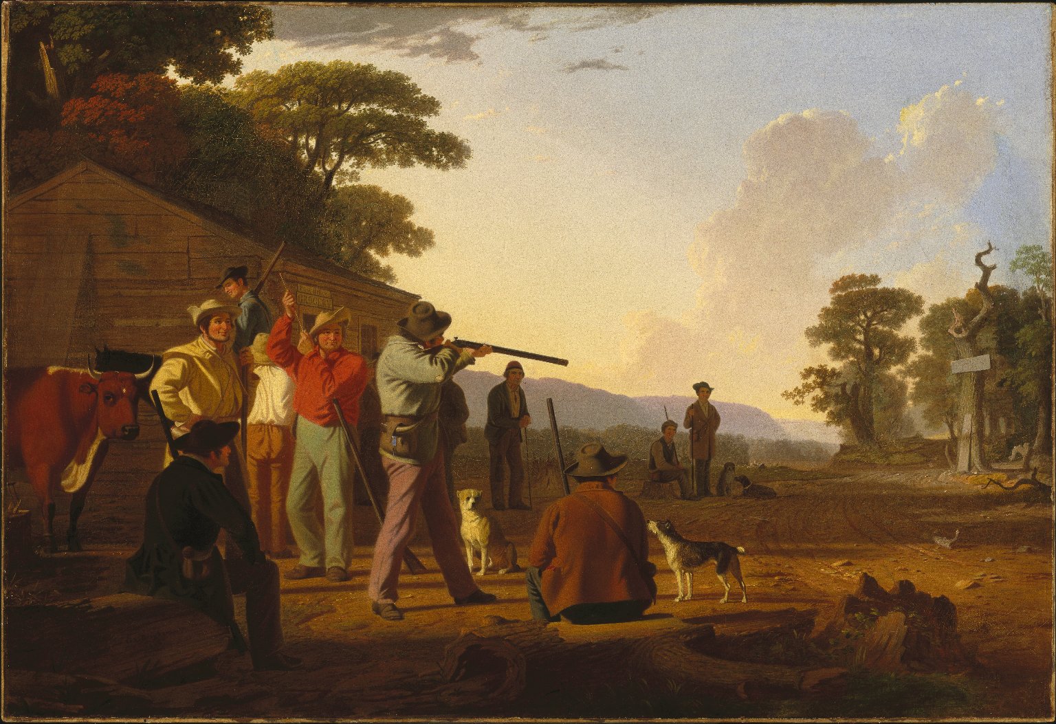 image6